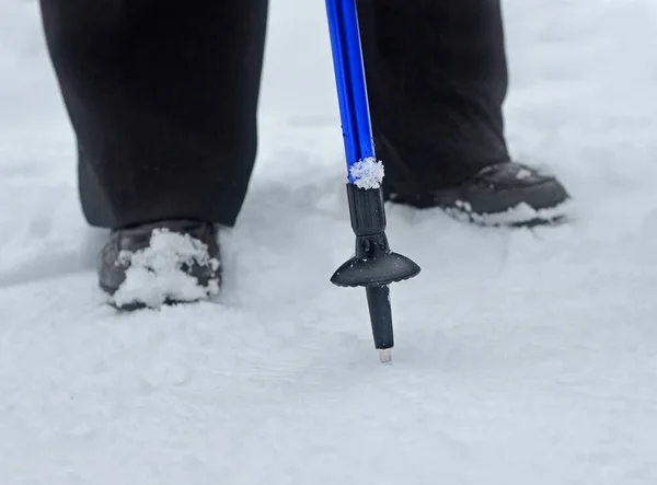 Fragment Nordic Walking Stuck Snow Closeup Blur Legs Elderly Person — Stock Photo, Image