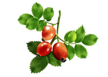 kalça Şubesi çilek ile