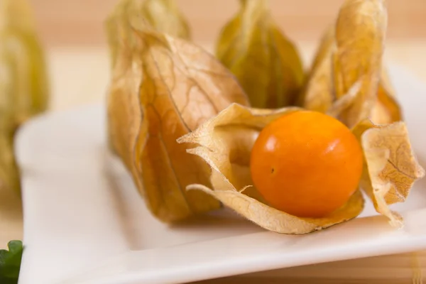 One open and four closed physalis — Stock Photo, Image