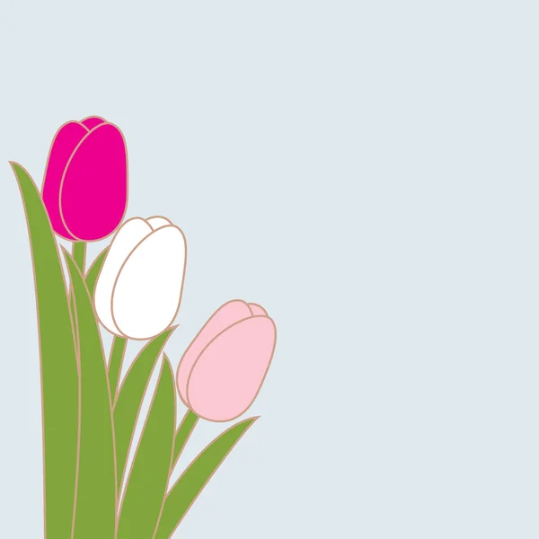 Bouquet de tulipes — Image vectorielle