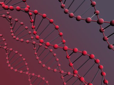 3D dna