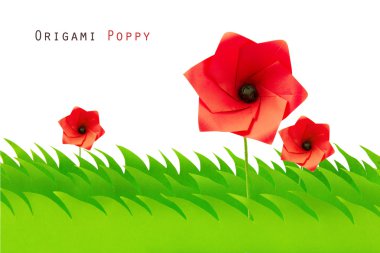 origami haşhaş ile yeşil alan