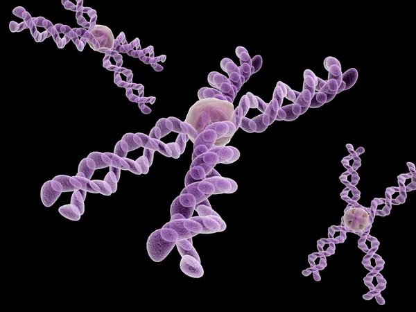 3d chromosome — Stock Photo, Image