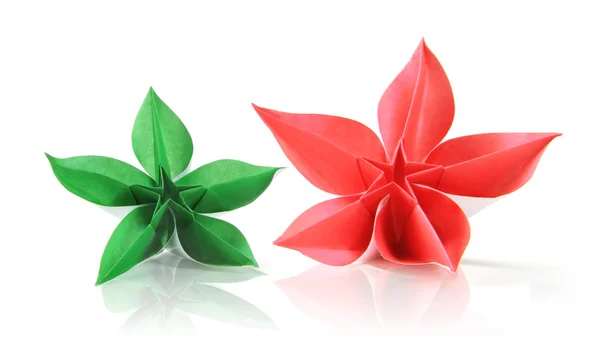 Egzotik çiçek origami — Stok fotoğraf