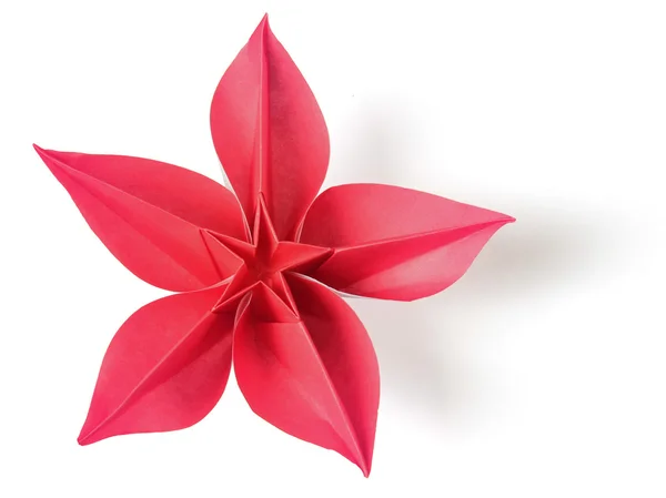Exotické origami květina — Stock fotografie