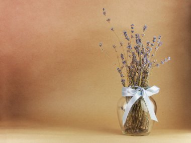 Lavanta arka plan sanat