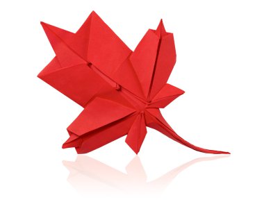 akçaağaç yaprağı