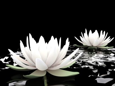 3D lotus