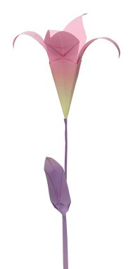 Origami lily