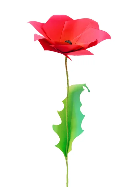 折り紙のケシの花 — ストック写真