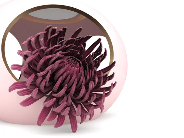 3D-chrysant — Stockfoto