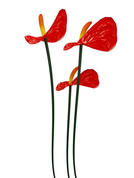 3d flores rojas — Foto de Stock