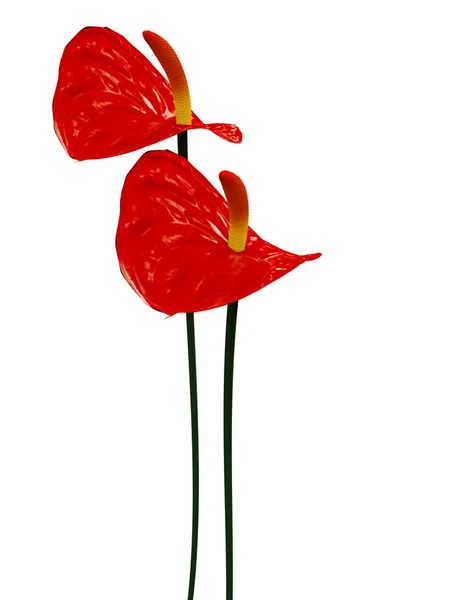 3D kırmızı çiçekler — Stok fotoğraf