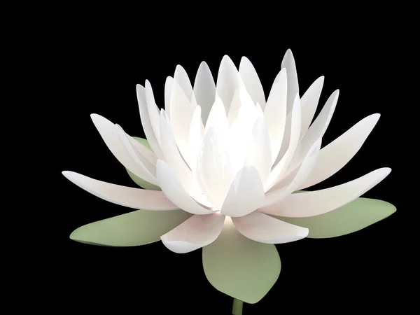 3D lotus — Φωτογραφία Αρχείου
