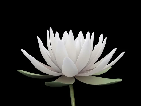 3D lotus — Stok fotoğraf