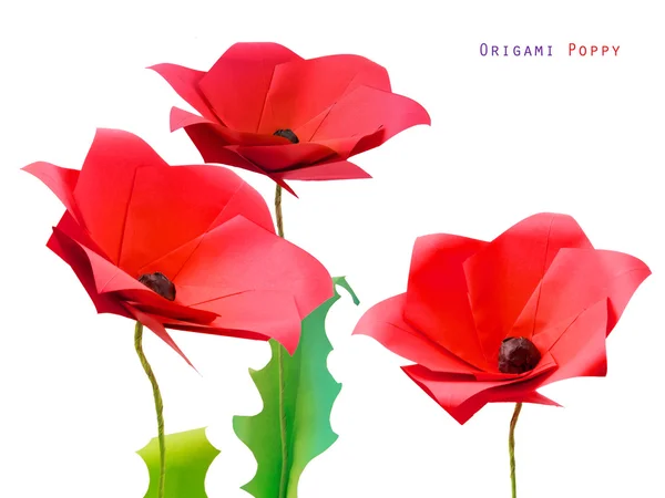 Origami poppy flower3 — Stockfoto