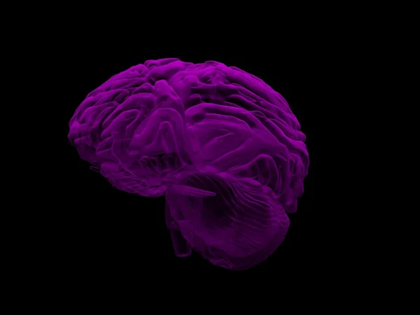 3d brain — Stock Photo, Image