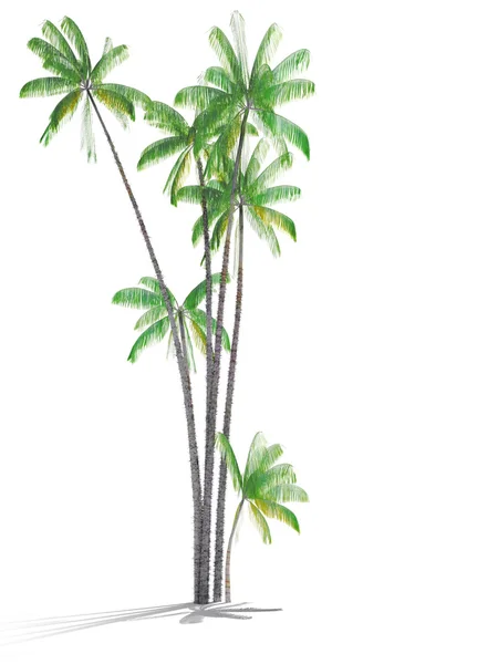 3d 的棕榈树 — 图库照片