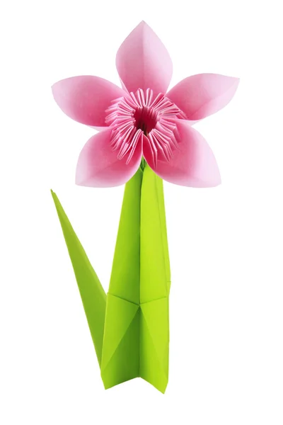 Origami pink flower — Stock Photo, Image