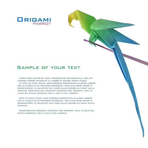 Origami perroquet sur une branche — Photo