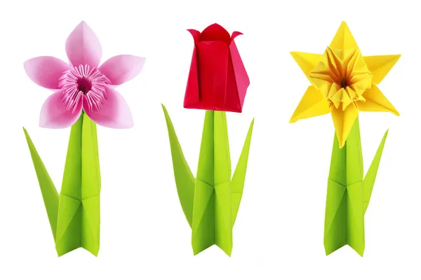 Origami set di fiori — Foto Stock