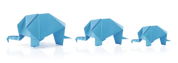 Origami elephant family — Stock Photo, Image