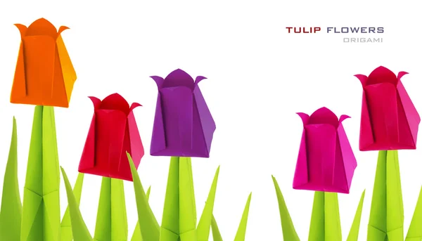 Origami tulipa flores — Fotografia de Stock