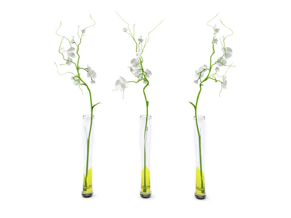 3d white orchids — Stock Photo, Image