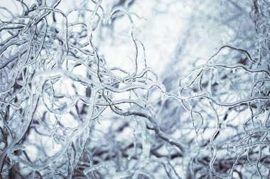 soyut kış arkaplanı