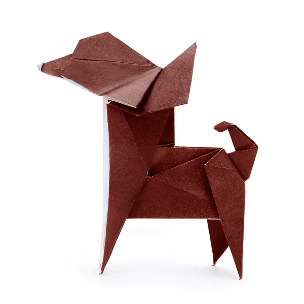 Chihuahua origami cane — Foto Stock