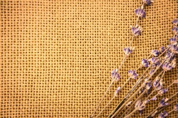 Burlap com lavanda — Fotografia de Stock