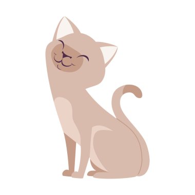 sevimli çizgi kedi vektör