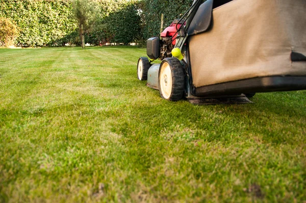 Lawn mower — Stock Photo, Image