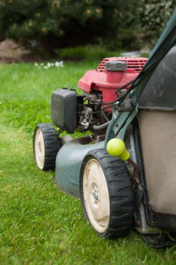 Çim biçme makinesi