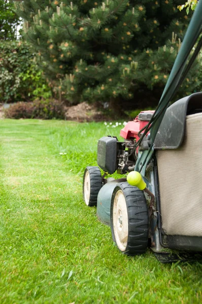 Lawn mower — Stock Photo, Image