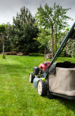 Çim biçme makinesi