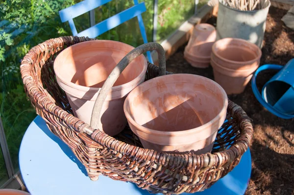 Pflanzkübel — Stockfoto