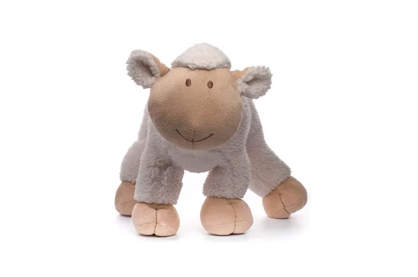 Plyšová hračka ovce — Stock fotografie