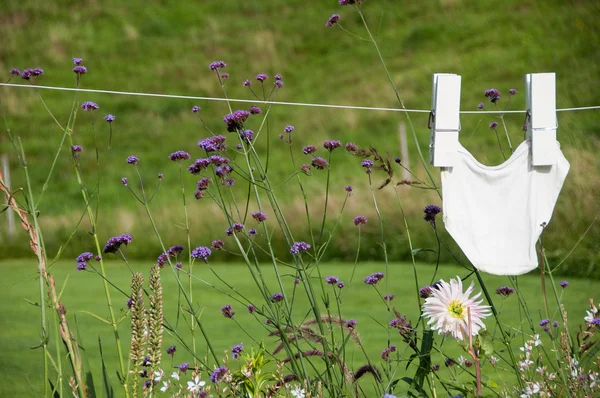 Hosen Trocknen auf der Wäscheleine — Stockfoto