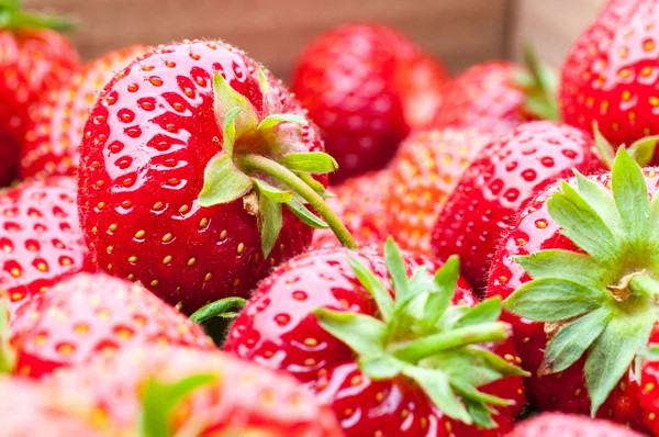Organic Berries Closeup — Stok Foto