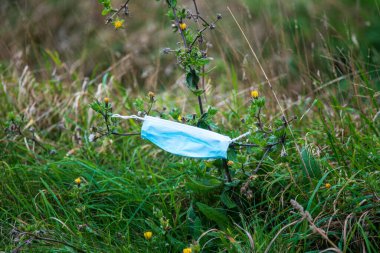 Doğaya atılmış bir maske Bir bitkiye asılı