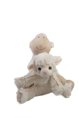 Soft toys sheep on white background