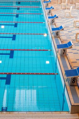 Yüzme havuzundaki çizgiler