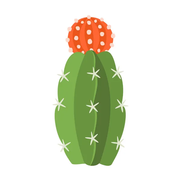 Cactus and succulent colorful cartoon vector illustration — Stock Vector