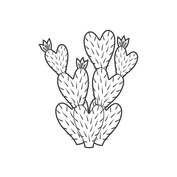 Décrivez l'illustration vectorielle du cactus et de la plante succulente — Image vectorielle