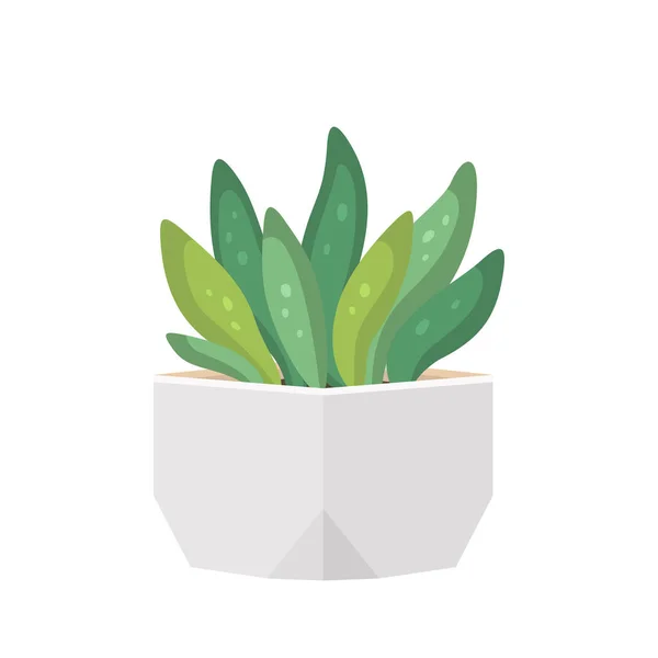 Cactus en sappig in pot binnenlandse kleurrijke cartoon vector illustratie — Stockvector