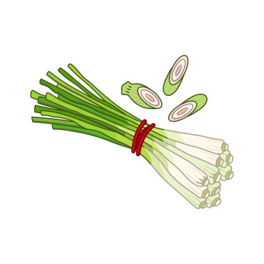 Lemongrass spice vector realistic colored botanical illustration clipart
