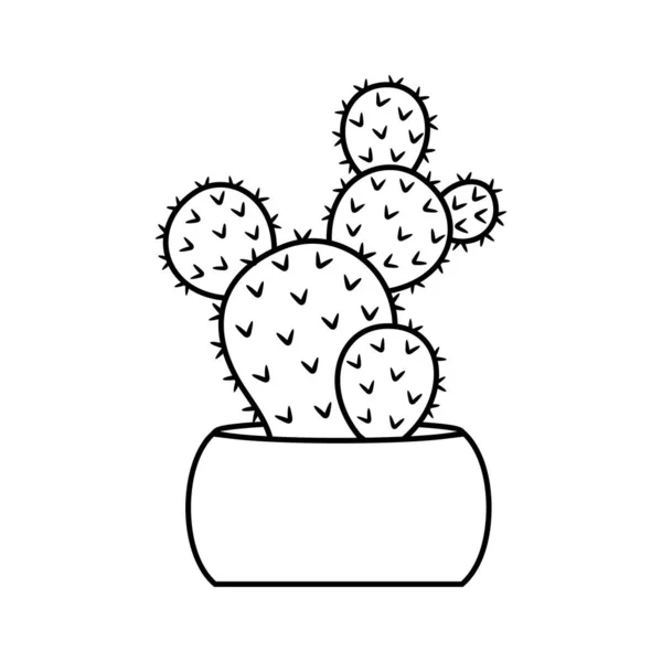 Cactus and succulent line style vector illustration — Stock Vector