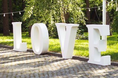 Düğün dekorasyonu. ahşap plaket yazıt düğün yüzünden. Düğün bir tabak yeşil arka plan ve bir çeşme. Düğün süslemeleri güzel. yaz düğün kutlama.