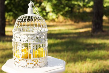 Düğün dekorasyonu. ahşap plaket yazıt düğün yüzünden. Düğün bir tabak yeşil arka plan ve bir çeşme. Düğün süslemeleri güzel. yaz düğün kutlama.